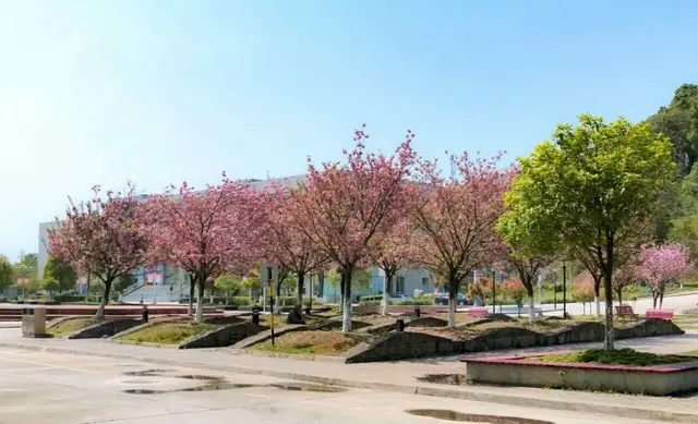 九州职业技术学院2019年招生章程，今年还要进行高职单招