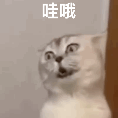 聊天必备表情包'，微信头像，聊天必备表情包'（17个抖音近期热门表情包）