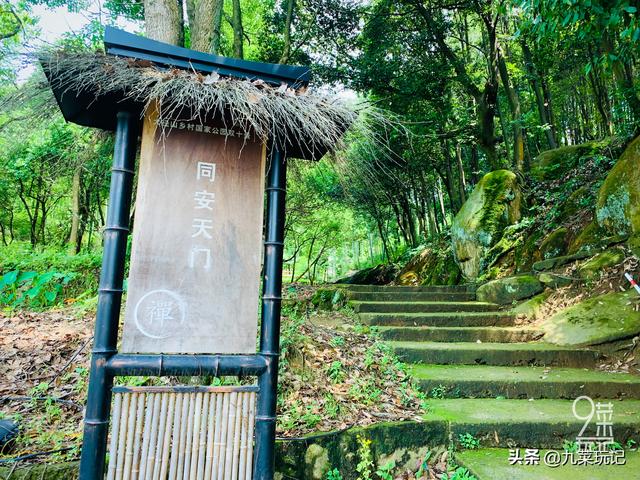 余杭径山旅游攻略一日游，余杭径山一日游攻略（暑期遇见鸬鸟溯溪清凉一夏）