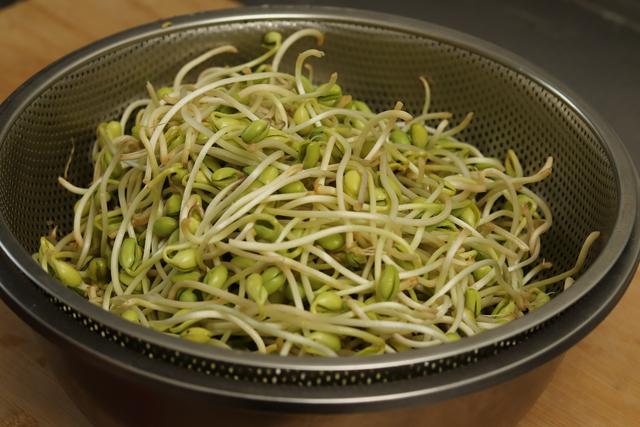 如何生绿豆芽和黄豆芽，不用土壤不用肥料