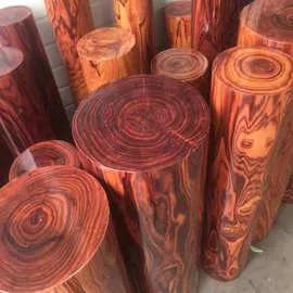 黄花梨树简介黄花梨树的特征，黄花梨树有什么特征（它的叶子并不特殊）