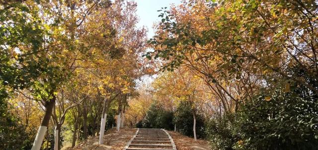 河南农业大学宿舍，河南农业大学招生录取规则和录取条件顺序政策解读2022参考（这份“寝室使用说明书”请按时查看）