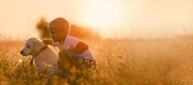 一个人孤独的说说，一个人孤独的说说伤感（适合一个人孤独的时候看的句子）