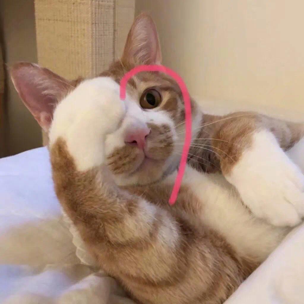 倦歌/恶搞图片/极其沙雕，微信头像，倦歌/恶搞图片/极其沙雕（沙雕有趣的微信头像）