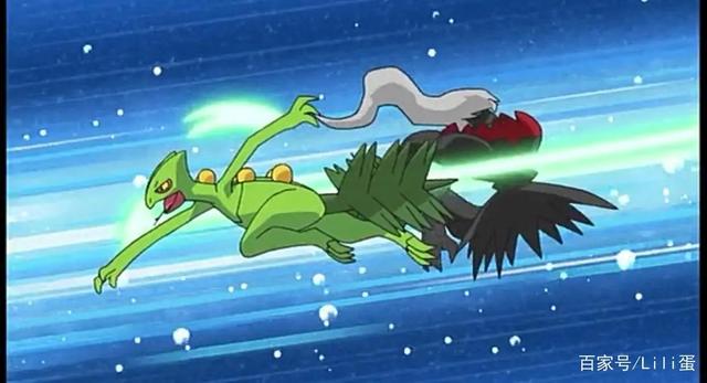 流氓鳄(2胜),蓝蟾蜍,保姆虫第四轮对虎徹:地幔岩,水水獭,炒炒猪(2连胜