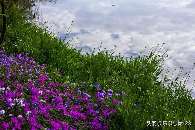 抒情散文怎么写，抒情散文的写法（一篇抒情散文的写作借鉴）
