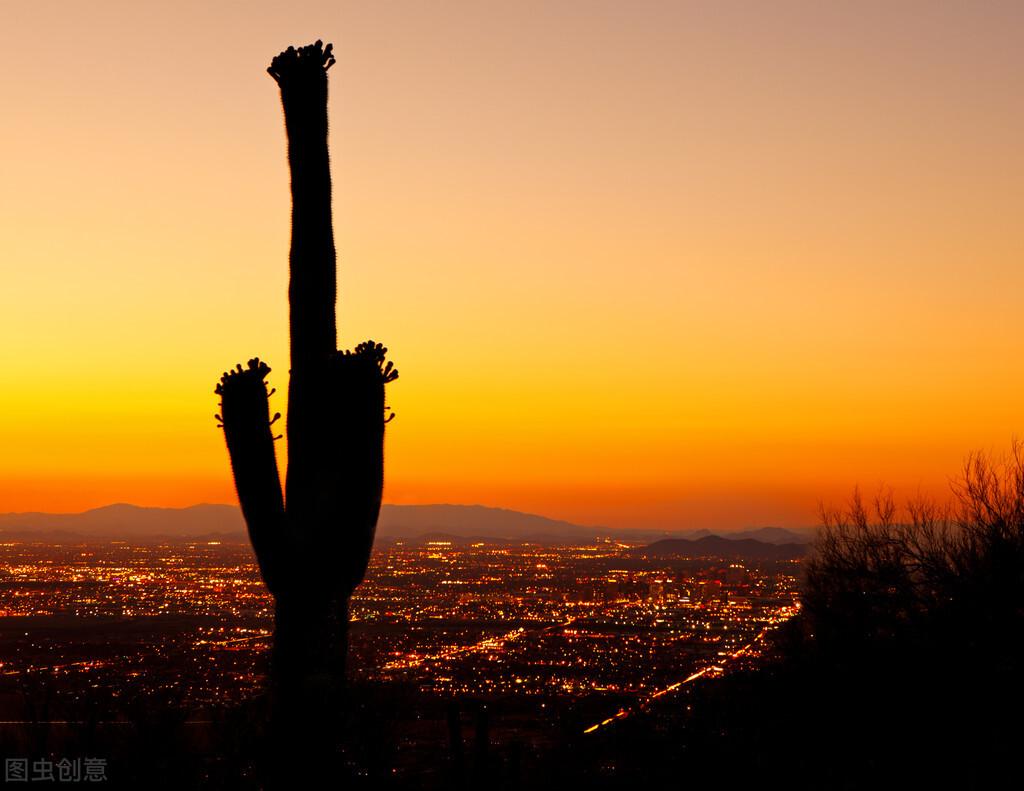 凤凰男是什么意思，嫁人不嫁凤凰男是什么意思（刘若英教你识别“凤凰男”）