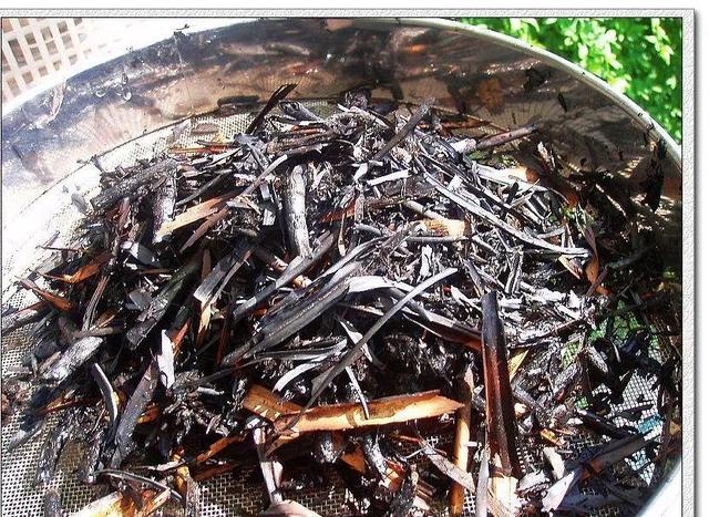 怎么驱蚊子最有效，除蚊子的方法（1把蚊香灰撒盆里）