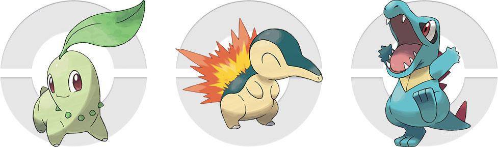 尤其是菊草叶,它在冒险中与小智结下了一段非常深厚的情谊;火球鼠在