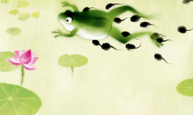 牛蛙和田鸡是一样的吗，田鸡和牛蛙一样吗（牛蛙中国餐桌史）