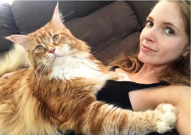 吸猫什么意思，女人说可以吸猫什么意思（吸猫体质之所以“招猫”喜欢）