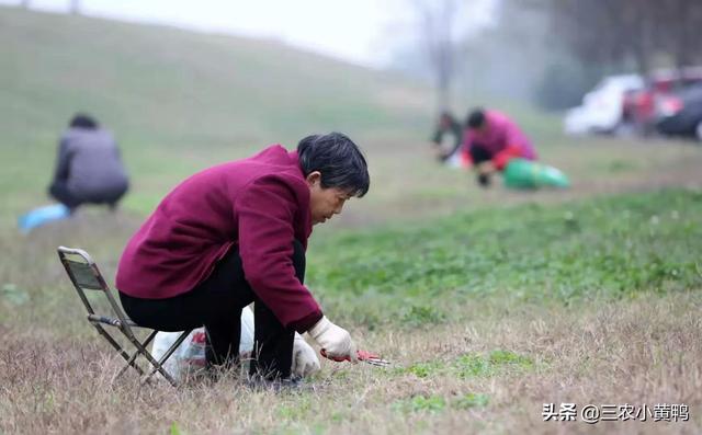 春分的美好寓意，春分的美好象征（春分节气这4个民俗要知晓）