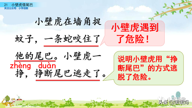 小壁虎的尾巴有什么功能，壁虎的尾巴有什么用（一年级下册语文课文21《小壁虎借尾巴》图文详解及同步练习）