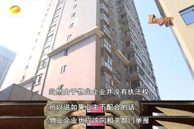 物业主要管理什么，物业管理主要负责什么（帮女郎开课了：物业到底管些啥）