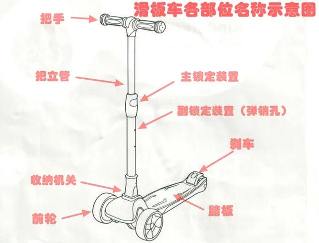 两轮滑板教学图片