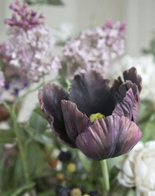 香皂花是什么材质做的，肥皂花是什么材料的（最适合懒人养的花）