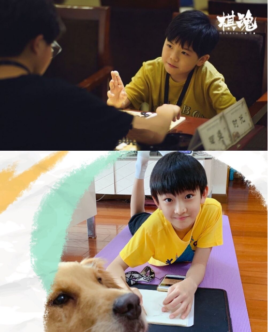 小琉璃是谁演的，琉璃小时候是谁演的（周冬雨驾驭不了“仙界美人”就算了）