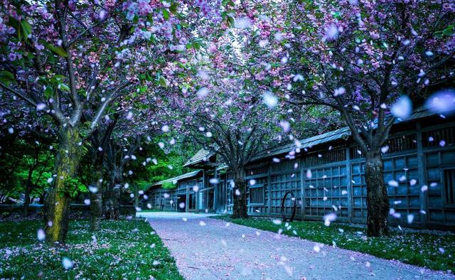 春天古诗25首简单的，关于春天的25首简单古诗有哪些（在诗韵中遇见最美的春天）