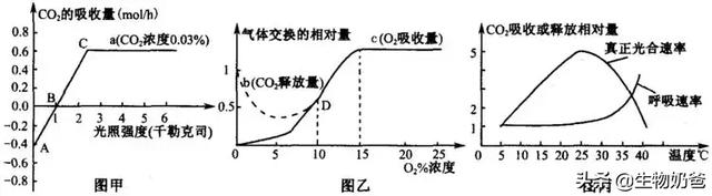 光照强度计算公式，照度的定义是什么（细说光照强度对光合速率的影响）