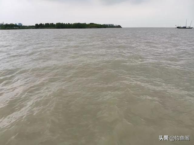 秋季钓鲢鳙方法，秋季钓鲢鳙方法和技巧（秋季钓鲢鳙要点）