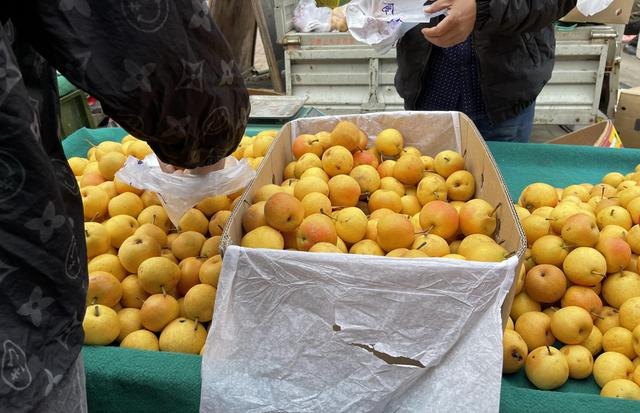 辽宁最穷十大城市排名，辽宁最穷的五个市（本溪、铁岭、阜新谁能在2019翻盘呢）