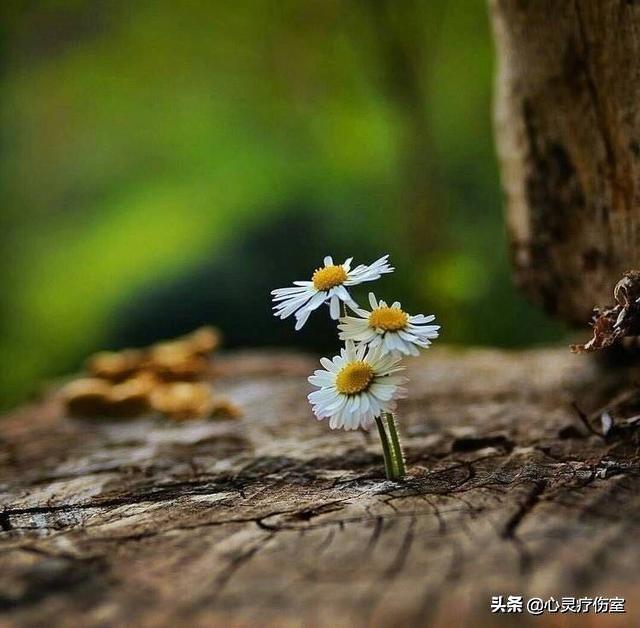 女人致自己的生日感言，女人致自己的生日感言有哪些（祝自己生日快乐的句子）