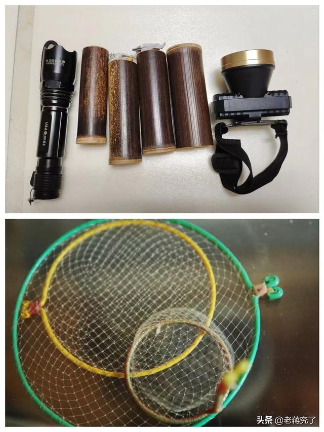 蟋蟀怎么抓，怎么把蟋蟀引诱出来（告诉你关于捕捉的相关知识）