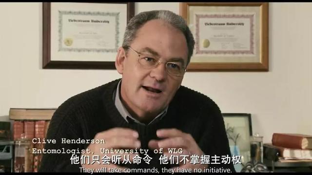 九岁酷皇后*，九岁酷皇后为什么不更了（《第九区》距今已十年了）