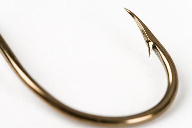 螺蛳青市场价多少钱一斤，50斤螺蛳青一般多少钱（武汉木兰湖140斤的“青鱼王”被捞起）