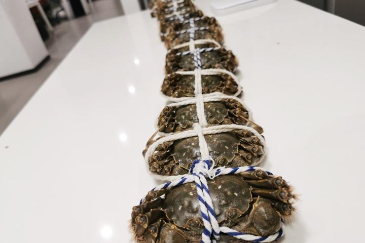 误食6只死螃蟹会致命吗？揭秘死蟹为何严禁食用及其潜在健康风险