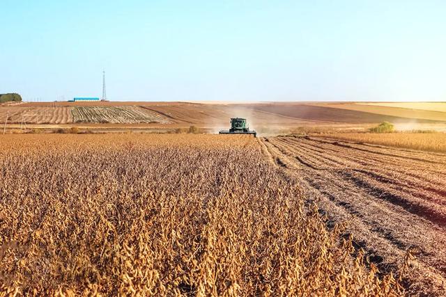 干饭是什么意思，网络词干饭是什么意思（中国干饭地图：天南海北）