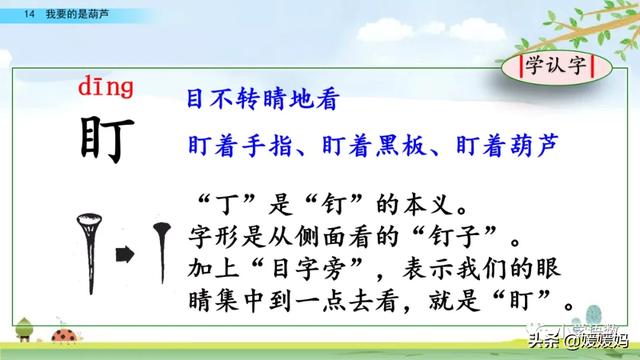 什么的枝叶填空，什么枝叶填空二年级（部编版二年级上册第14课《我要的是葫芦》课件及同步练习）