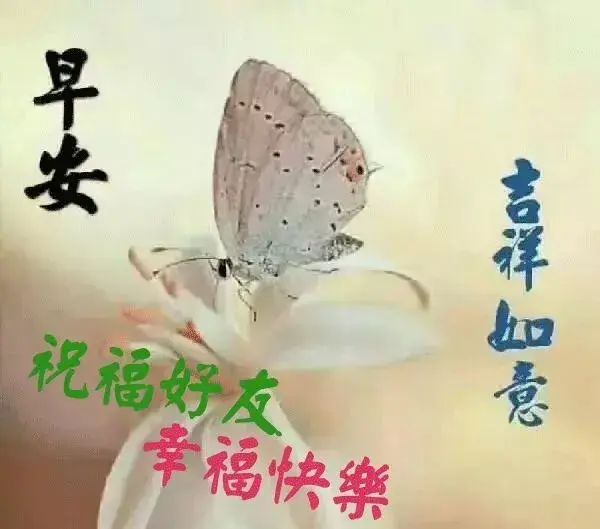 结婚祝福语动态图片，恭喜结婚的祝福语动态图片（有的人是因为爱情）
