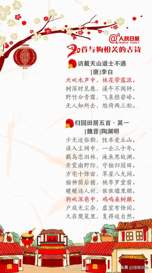 带鸟名的诗句，带鸟名的诗句飞花令（《人民日报》推荐20首与狗相关的古诗）