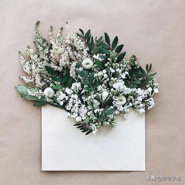 写给自己的一段话，写给以后的自己一段话（写给自己最暖心的句子）