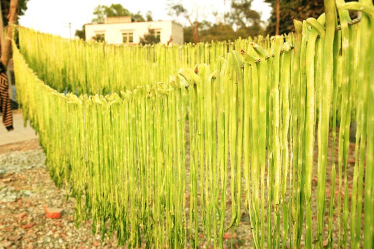 邳州特产，邳州特产小吃（这几样邳州特产，收好不谢）