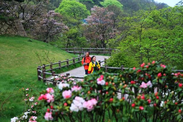 安徽黄山适合几月去，几月份去黄山旅游最佳（黄山市31处景区对安徽人免票）