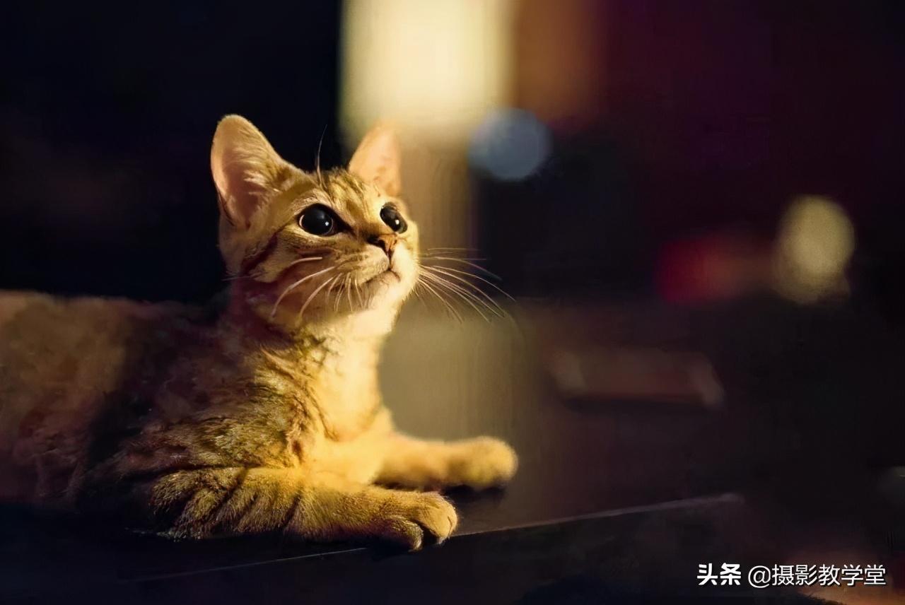 曝光是什么意思(曝光越高越好还是越低)