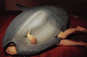 翻车鱼是什么鱼，翻车鱼为什么叫翻车鱼（即使被啃食也不逃跑的翻车鱼）