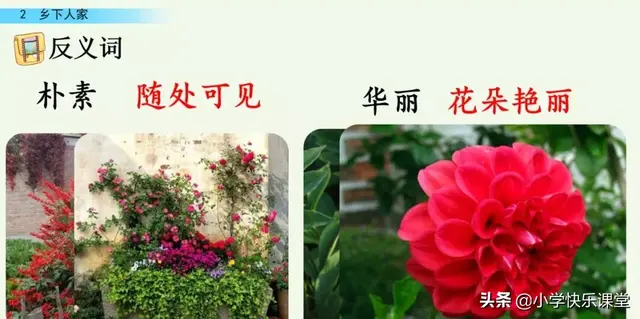 耸的部首（送的部首，小学部编四年级语文下第2课《乡下人家》图文+知识点+同步练习