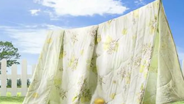 床上的螨虫是什么样子，床上4个迹象说明螨虫（怎么知道床上是否有螨虫）