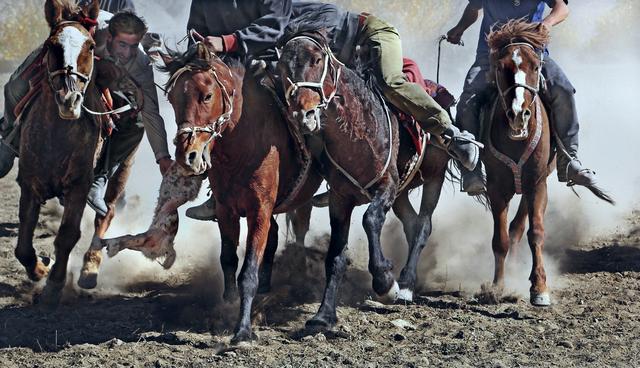 用马字组词有什么，马字组词还有什么（拍马“留序”摄影浅谈）