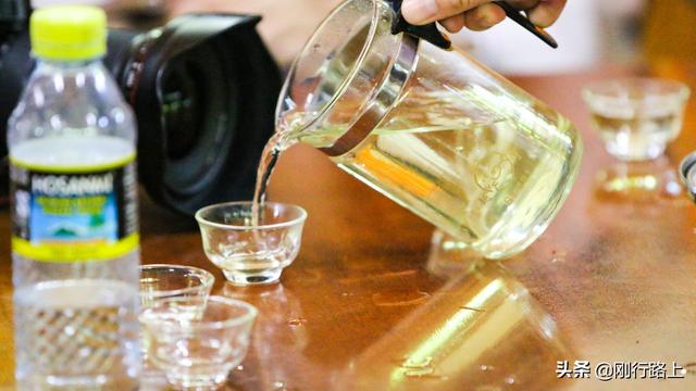 海南苦丁茶是什么茶，海南苦丁茶的功效与作用价格（当地老百姓生活中“物什”）