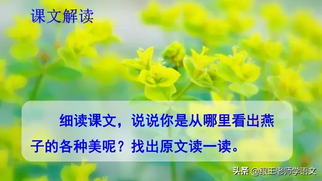 燕的多音字组词，燕京读音（燕国读音（部编语文三年级下册课文2、燕子）