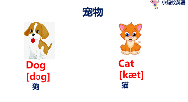 乌龟的英文单词turtle，乌龟的英文（宠物英语一箭双雕）