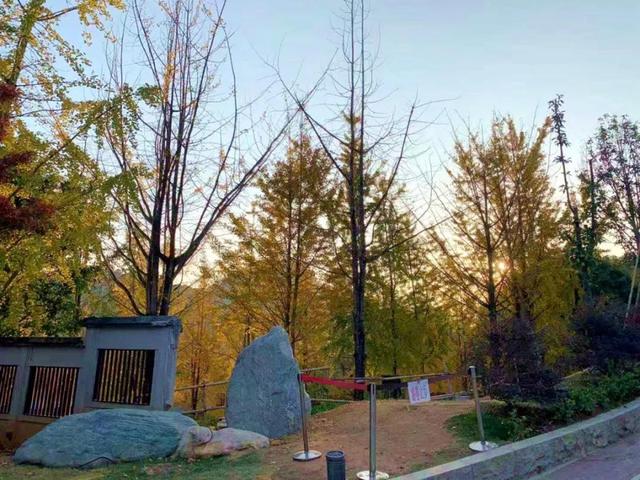 韶关云门寺，韶关云门寺图片（韶关这座色彩斑斓的古寺现在去正好）