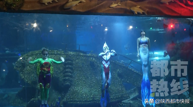 西安幻太奇海洋馆介绍，西安幻太奇海洋馆在哪（“卡通人物”来到海底世界）