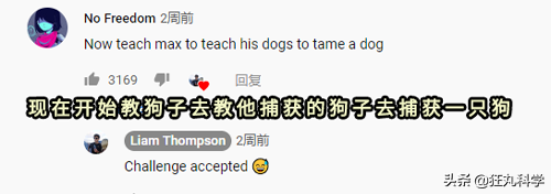 我的世界狗怎么驯服，网友教自家狗子玩《我的世界》