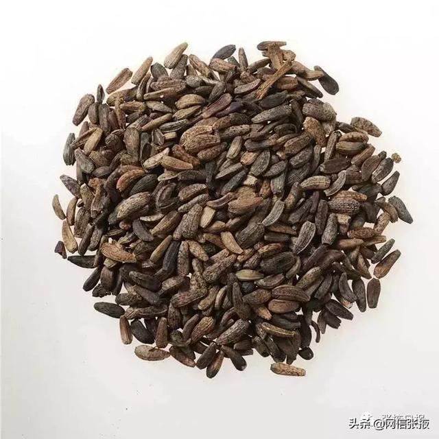 达仁堂阿魏化痞膏，阿魏化痞膏对癌症肿痛有缓解作用吗（“道地药材”成经济发展新的增长极）