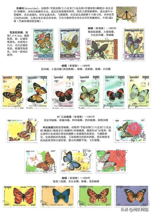 蝴蝶和蛾子的区别，蝴蝶和飞蛾有什么区别（鳞翅目昆虫-蝴蝶与蛾）